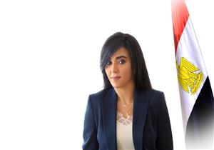 عضو بـ "خارجية الشيوخ": مصر دقّت كل أجراس الخطر في كلمة الرئيس بـ"الأمم المتحدة"