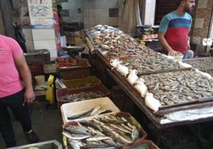 أسعار السمك في أسبوع: تراجع المكرونة السويسي وارتفاع الكابوريا