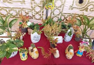 مانجو وفسيخ.. محافظ البحيرة يفتتح معرض منتجات المدارس الزراعية - فيديو