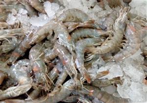 ضبط جمبري ودواجن مجهولة المصدر داخل مطعم شهير في الزقازيق