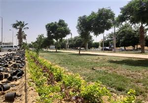 رئيس الشروق: تكثيف أعمال صيانة المسطحات الخضراء والمزروعات بمداخل المدينة