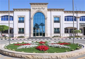 رصيد صوامع ميناء دمياط يبلغ 54 ألف طن من القمح خلال 24 ساعة