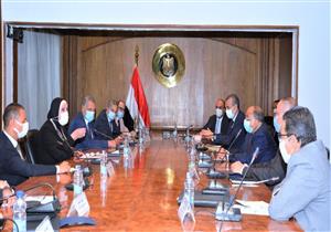 "الصناعة" و"التنمية المحلية" تبحثان إعداد قاعدة بيانات للمشروعات المتوسطة والصغيرة والمتناهية