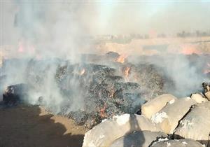 بالصور.. حريق ضخم يلتهم شونة قطن بكفر الزيات في الغربية