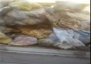 "الباعة تركوا بضاعتهم وهربوا".. مصادرة 3 أطنان لحوم وداوجن فاسدة بأوسيم