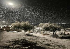 ثلوج وأمطار شديدة في جمصة.. وهذه المناطق الأكثر عرضة للطقس السيء (فيديو)