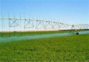 طرح دون اكتتاب.. ما هي شركة "نهر الخير" أول وافد للبورصة في 2022؟