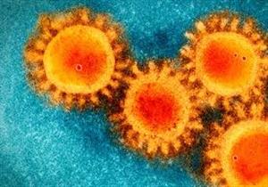    المتحور الفرعي من أوميكرون يمثل 100% من إصابات كورونا في جنوب أفريقيا