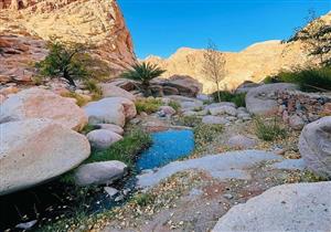 بالصور.. إعادة فتح جبل موسى بسانت كاترين أمام السائحين