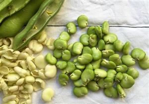 الفول الحراتي للحامل.. مفيد أم مضر؟