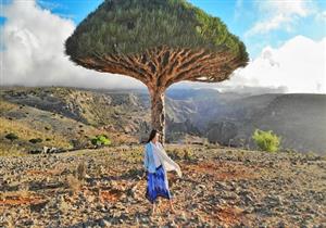 أرخبيل سقطرى... 6 جزر بمثابة جنة في اليمن