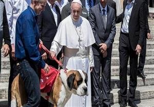 البابا فرانسيس: اختيار الحيوانات بدلا من الأطفال أنانية