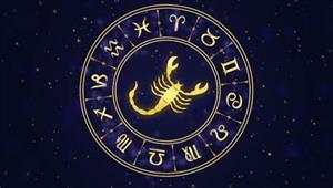 خبير يحذر من التعامل مع برج العقرب في منتصف الشهر.. ونصائح لتجنب "لدغته"