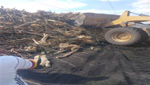 صور.. إزالة 37 مكمورة فحم مخالفة في البحيرة