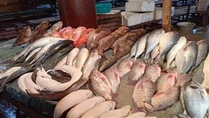 توقعات بتراجع أسعار الأسماك بنسبة تصل إلى 20% بداية من الشهر المقبل