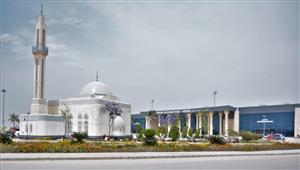 58 من أثرياء العالم في ضيافة مطار سفنكس ضمن خطة تنشيط السياحة