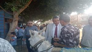 صور.. فحص 700 رأس ماشية خلال قافلة جامعة السادات في "فيشا الصغرى" بالمنوفية