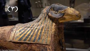 "أبو منجل وتمساح النيل".. 3 قطع أثرية تتنافس على العرض خلال نوفمبر في متحف شرم الشيخ 