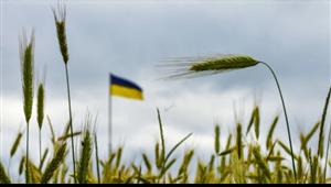 مصير اتفاق تصدير الحبوب مجهول بعد تعليق روسيا مشاركتها