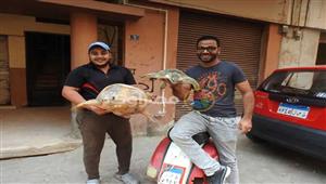 6 سنوات من تحرير السلاحف.. "محمود" تاجر سويسي تعهد حماية الحياة البحرية (صور)