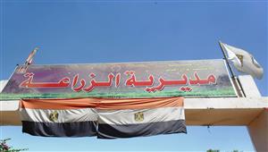 الوادي الجديد تبدأ زراعة 11 صنفا من النباتات الطبية والعطرية