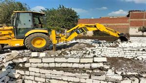 الجيزة: إزالة 36 حالة تعد على الأراضي الزراعية بأطفيح بمساحة 6 آلاف