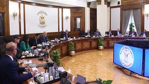 الحكومة توضح سبب تصفية شركة النصر لصناعة الكوك والكيماويات