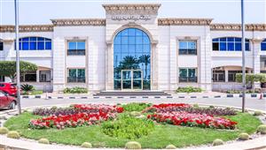 ميناء دمياط يستقبل 12 سفينة خلال 24 ساعة