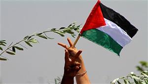 مصر تحتفل باليوم العالمي للتضامن مع الشعب الفلسطيني