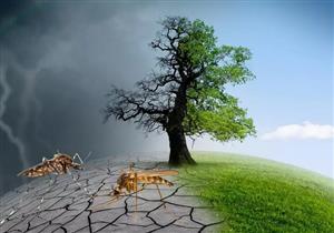 احذر- 5 أمراض قد تصيبك بسبب التغيرات المناخية