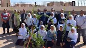 تفعيلًا لمبادرة "اتحضر للأخضر".. دعم مدارس جنوب سيناء بـ 625 شتلة ليمون - صور