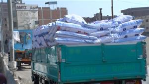 حملات مكثفة وضخ كميات.. مسئول بالزراعة يكشف موعد انخفاض سعر الأعلاف