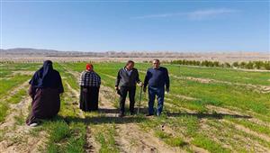 "الزراعة" تطلق فرق إرشادية للنهوض بالمحاصيل الشتوية