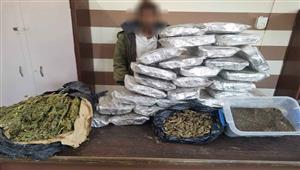 ضبط شخص بشمال سيناء بحوزته 55 كيلو هيدرو وبذور خشخاش