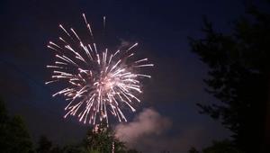  إطلاق الألعاب النارية يؤثر على سلوكيات الطيور المهاجرة