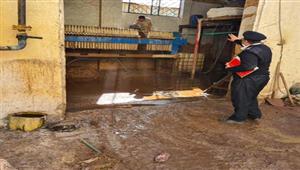 "الزراعة": تفتيش 2265 محلًّا للاتجار في المبيدات خلال نوفمبر 2022 -صور