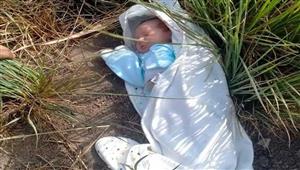 العثور على رضيعة ملقاة في الزراعات المجاورة لأحد الطرق ببني سويف
