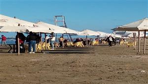 موجة ورملة ونسمة صافية.. شاهد توافد المواطنين على شواطئ بورسعيد- فيديو وصور