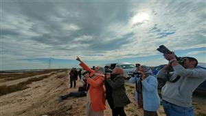 البيئة: نجحنا في إدراج نقاط مشاهدة الطيور بالبرامج السياحية بالبحر الأحمر  