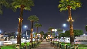 احتفالا بعيد الميلاد.. إضاءة نخيل وبوابات محور العروبة بصلاح سالم