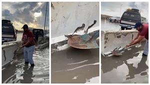 طرائف الأزمة.. إنقاذ فأر عالق في سيول أمطار الإسكندرية (فيديو وصور)