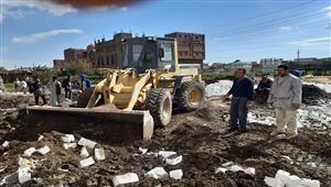 بالصور- إزالة 8 حالات تعد على الزراعات وأملاك الدولة ورفع 100 طن مخلفات بالمنيا