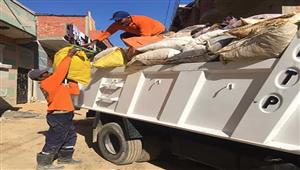 صور.. رفع 420 طن قمامة من 4 أحياء في الإسكندرية  