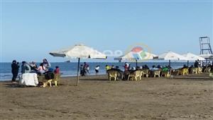 البحر حصيرة والكرسي بـ5 جنيهات.. توافد المواطنين على شواطئ بورسعيد- فيديو وصور 