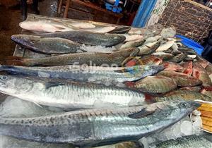 زيادة الفيليه البلطي.. أسعار الأسماك في سوق العبور اليوم