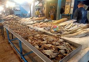 تراجع البلطي وارتفاع البوري.. أسعار السمك في سوق العبور اليوم