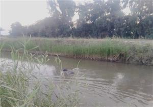 مصرع شخص وإصابة 3 في سقوط سيارة بترعة في أسيوط