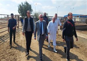 صور.. وصول دفعة جديدة من الماشية إلى بورسعيد استعدادًا لشهر رمضان