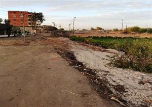  بالتفاصيل.. قرار جديد بشأن "سوق الطاهرة" في الشرقية - صور