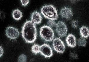 لعنة الفيروسات.. اكتشاف متحور جديد من الإيدز أكثر خطورة من السلالة الأصلية